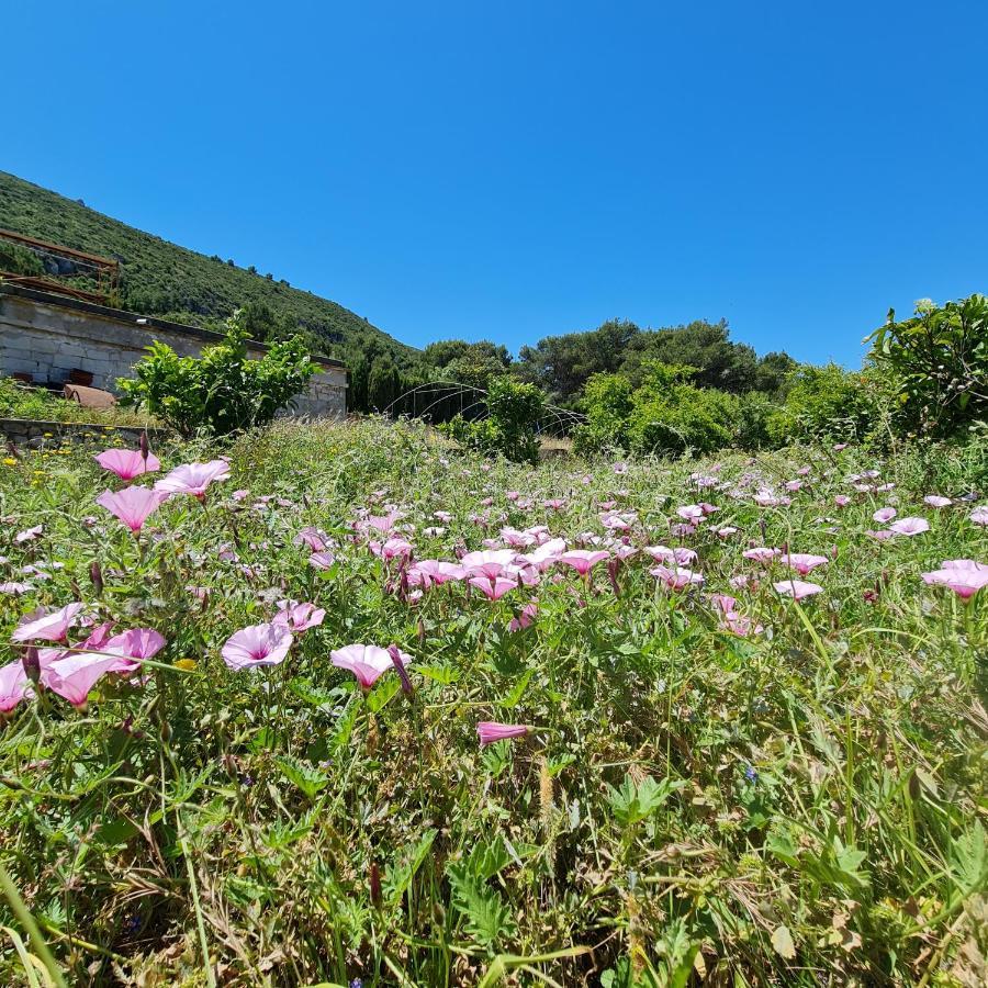 El Collado Βίλα Cullera Εξωτερικό φωτογραφία